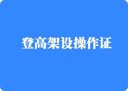 鸡巴插进,b网站登高架设操作证